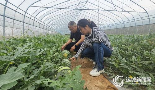 吃小吊瓜的视频播放大全,视频播放大全精彩回顾