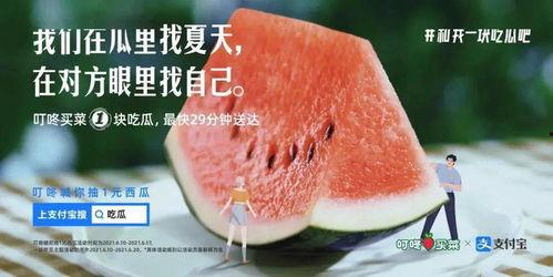 吃瓜文案视频大全,揭秘娱乐圈幕后故事