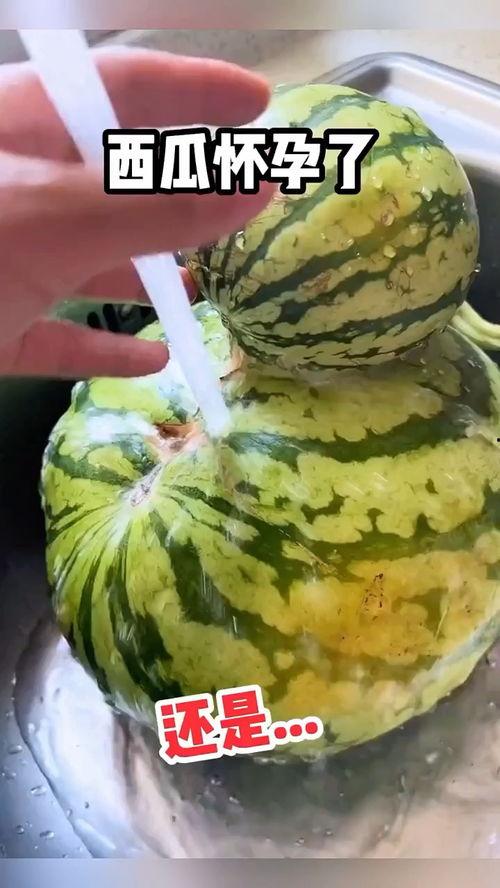 专业吃瓜现场搞笑视频,笑料百出！