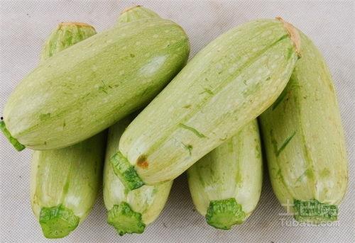吃生瓜的视频素材大全,生瓜品尝视频集锦大赏