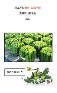 历史的吃瓜群众是谁啊视频,见证风云变幻的旁观者