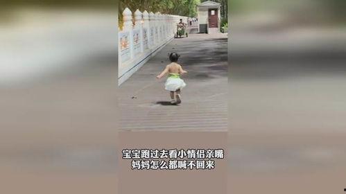 情侣亲嘴朋友吃瓜视频,情侣亲嘴与朋友吃瓜视频大揭秘