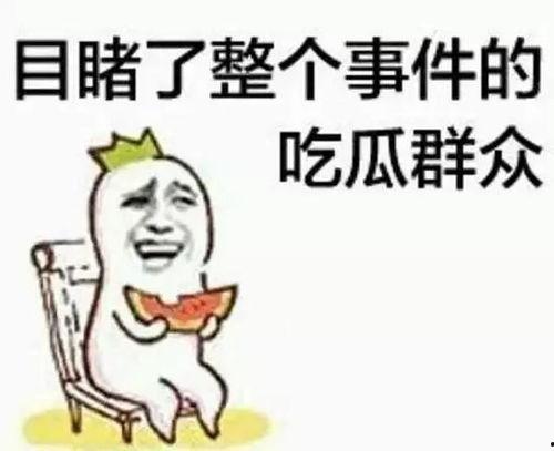 吃瓜群众开场套路视频,短视频带你领略网络热梗魅力