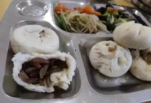 吃茭瓜馅包子视频大全,茭瓜馅包子制作视频大全，美味尽在掌握