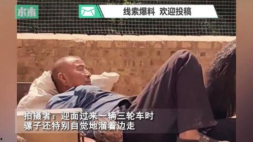 老伙计回家吃瓜视频播放,揭秘乡村生活趣味瞬间