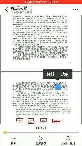 pdf视频吃瓜,网络热传现象背后的真相与趣味
