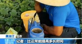 建始疫情吃瓜视频曝光,揭秘病毒传播背后的真相