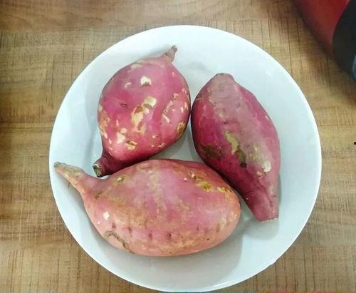 大力瓜能烤地瓜吃吗视频,创意美食新尝试