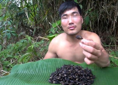 瓜哥表演吃虫子视频在线观看,在线观看惊心动魄