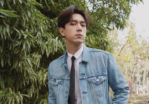 深夜吃瓜龚俊视频在线观看,龚俊视频在线观看，揭秘明星幕后故事