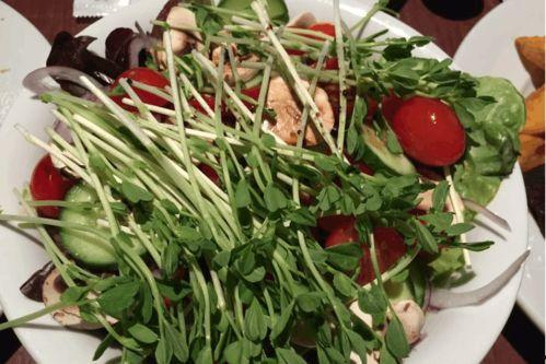 外国人吃伊丽莎白瓜视频,惊艳味蕾体验