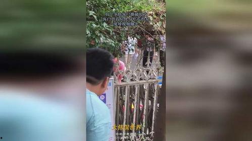 恐怖诡异的吃瓜现场视频,揭秘恐怖诡异的吃瓜瞬间