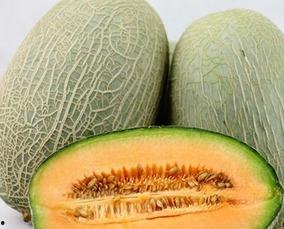 吃哈密瓜儿童视频,宝贝们的甜蜜探险之旅